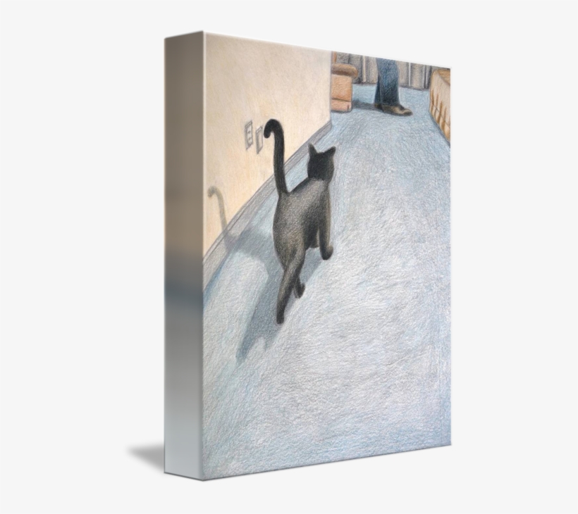 Drawn Black Cat Curious Cat - Cat, transparent png download