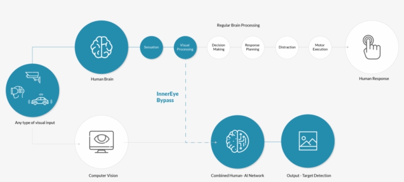 Innereye Technology By-passes The Need To Record Overt - Portable Network Graphics, transparent png download