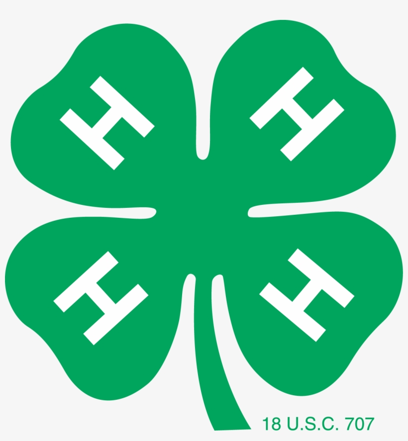 Green 4-h Clover Png - 4 H Clover Logo, transparent png download