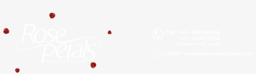 Circle, transparent png download