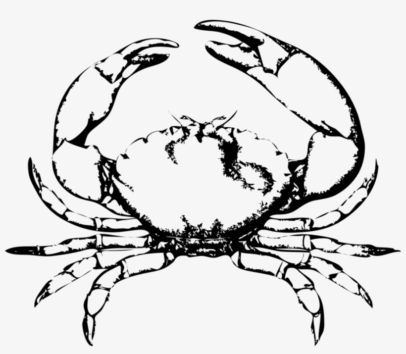Chesapeake Blue Crab Red Picture Black And White - Black And White Crab Clip Art, transparent png download