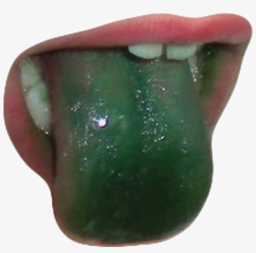 Polyvore, transparent png download