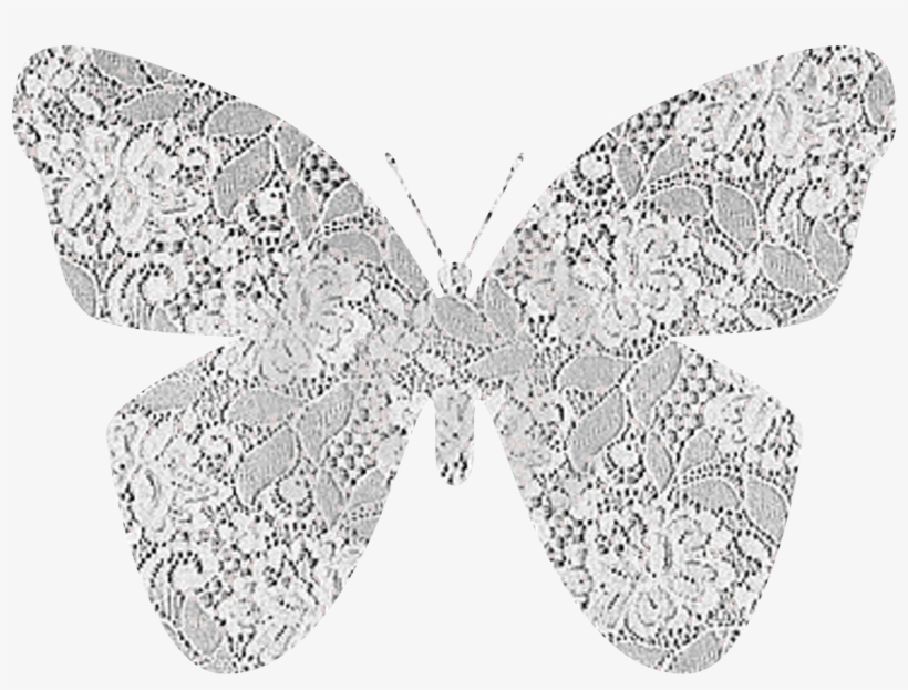 White Lace Pattern Png - White Lace Butterfly Png, transparent png download