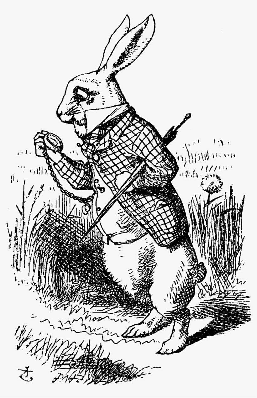 White Rabbit Alice In Wonderland Book, transparent png download