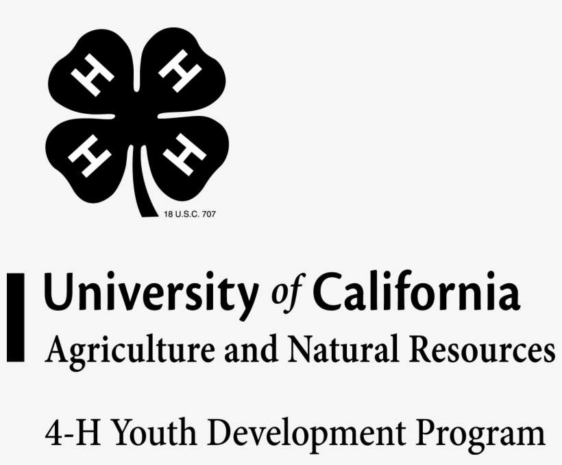 Bvert Png - Collegiate 4 H Logo, transparent png download