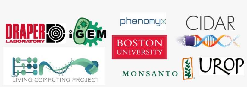 Thank You To Our Sponsors For Their Support - Graphic Design, transparent png download