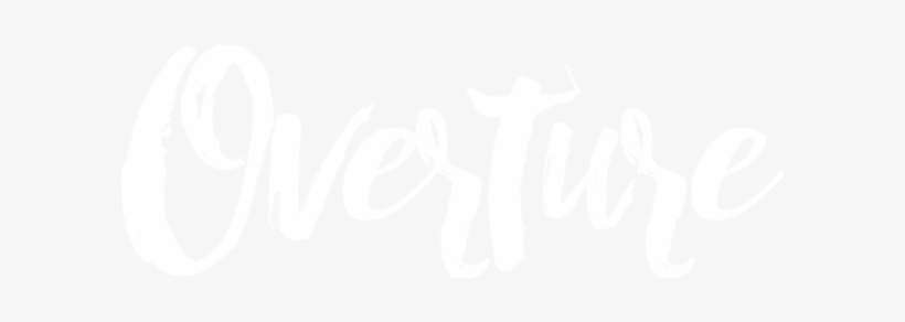 Site Design By Overture Marketing Solutions - Hi Lover By Des Machale & Prion, transparent png download