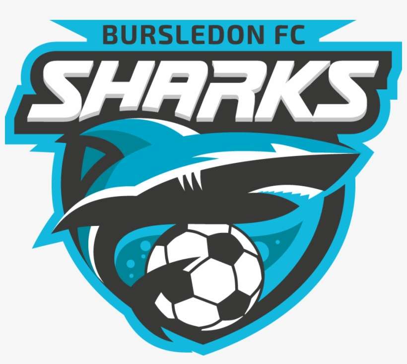 Bursledon Sharks Fc Logo - Blue Shark Logo Vector, transparent png download