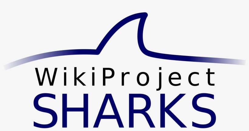 Open - Thanks To All Participants, transparent png download