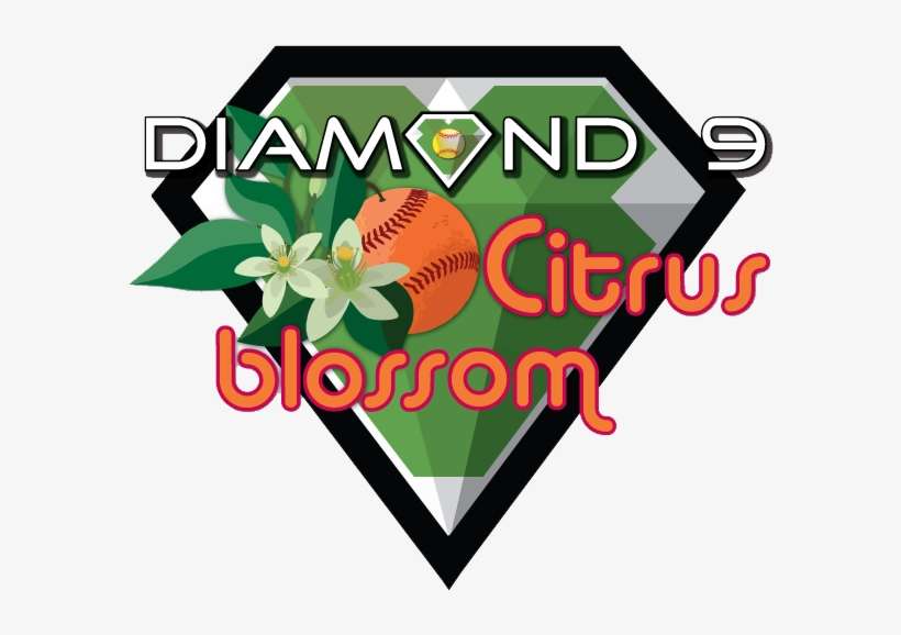 Floral Design, transparent png download