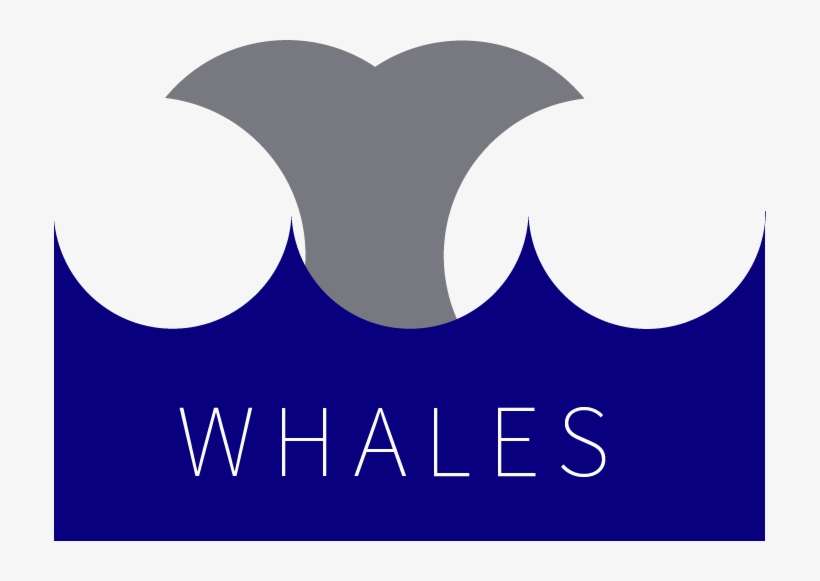 One Thing I Have Learned To Love In Illustrator Is - Illustrator, transparent png download