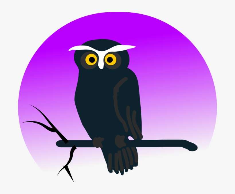 Barn Owl Clipart Branch Clipart Free - Halloween Owl Clipart, transparent png download