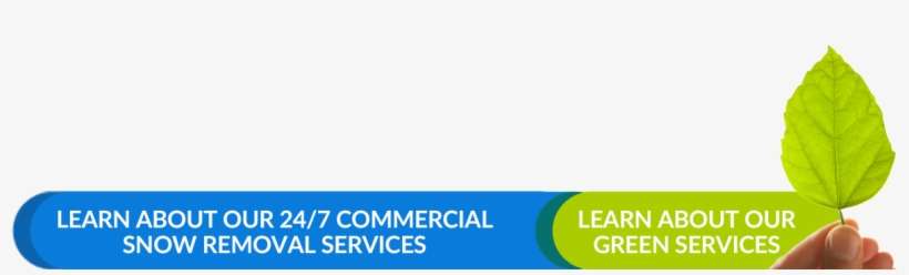 Green Services,asnow Removal - Snow, transparent png download