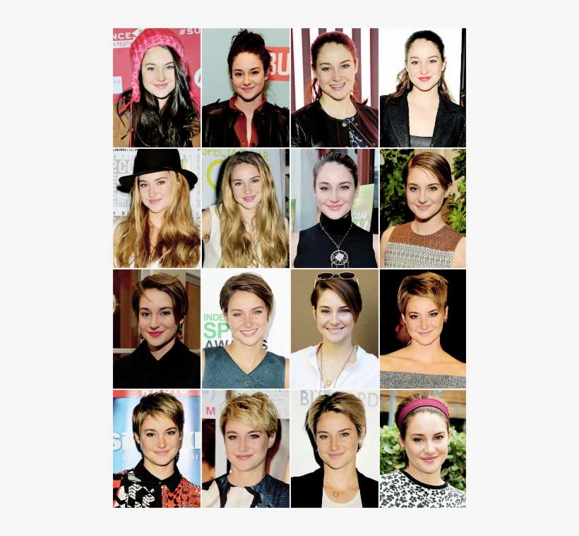 Welcome To Shailene Woodley Daily - Collage, transparent png download