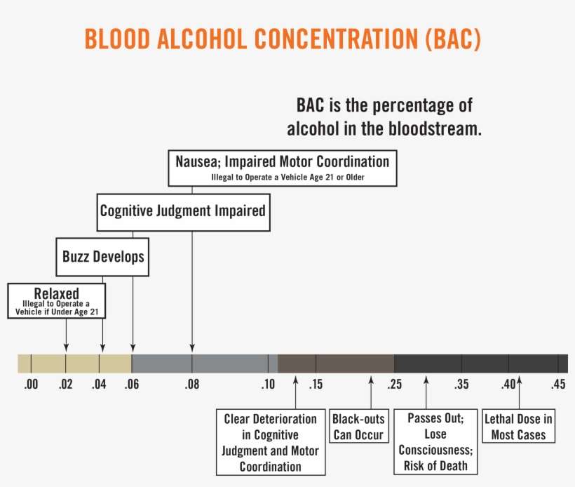 Bac Level/point Of Diminishing Return - Mind X Sensation Seekers, transparent png download