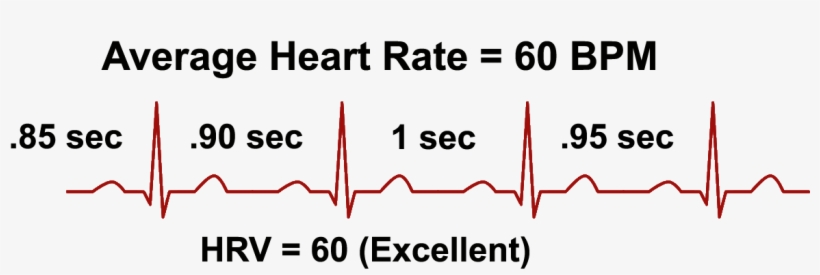 What Is Heart Rate Variability - Hrv Heart, transparent png download
