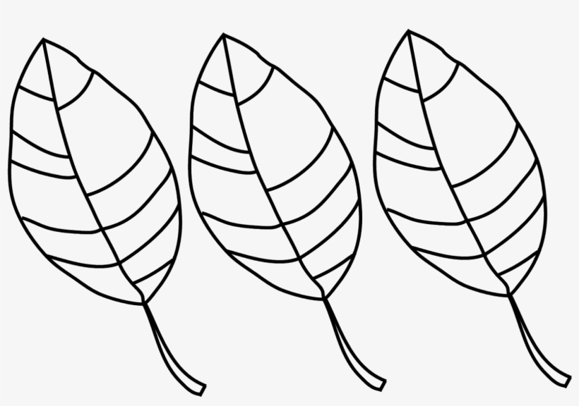 Friday, September 23, - Leaves Pictures To Colour, transparent png download