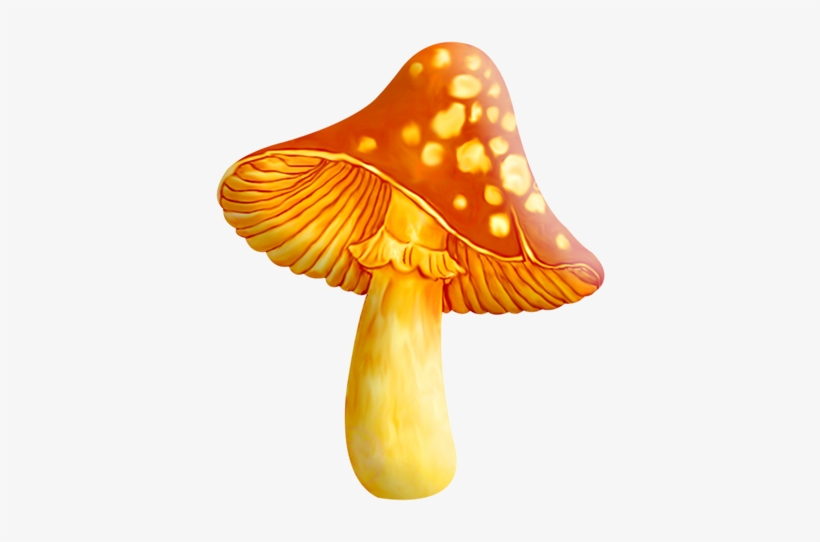 Tubes Champignons / Feuillages - سكرابز فطر, transparent png download