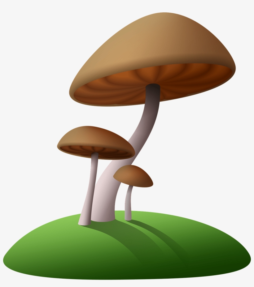 Descargar - Transparent Background Mushroom Clip Art, transparent png download