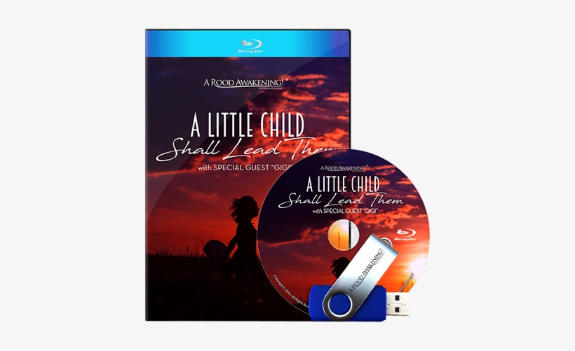Picture Of A Little Child Shall Lead Them - Child, transparent png download