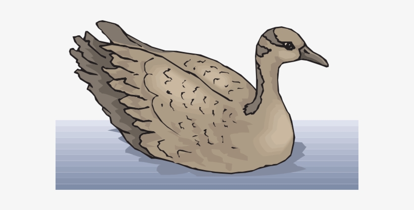 Black Swan Clipart Hans - Geese Swimming Clipart, transparent png download