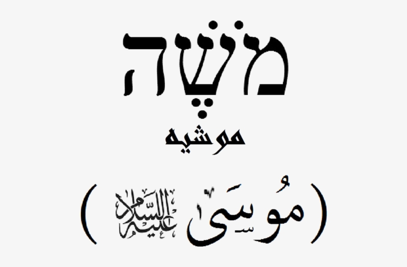 264 × 240 Pixels - Postcards (package Of 8), transparent png download