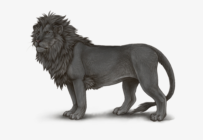 Slate - Prune Lioden, transparent png download