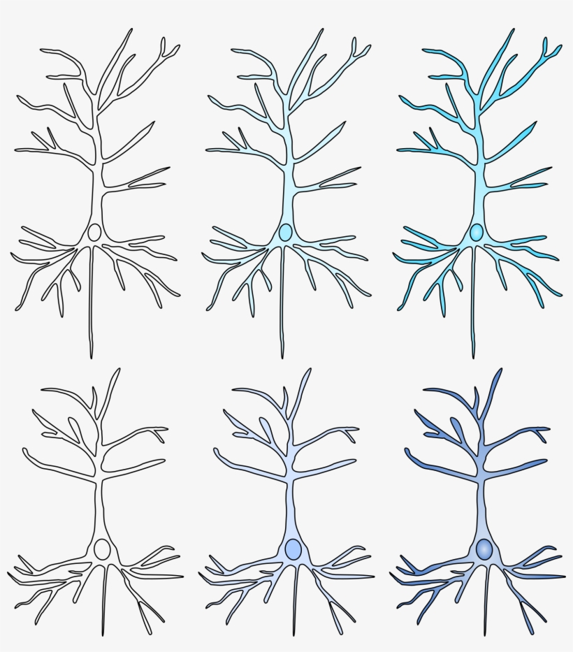 Free Resources - Line Art, transparent png download