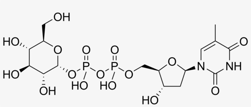 Luteolin 7 O Rutinoside, transparent png download