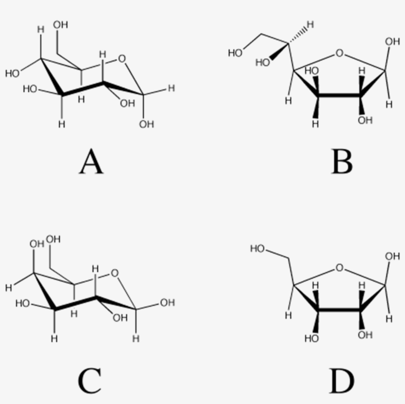 Hw9 Glucos Structures Question - Organic Chemist Organic Chemist Organic Chemist Journal, transparent png download