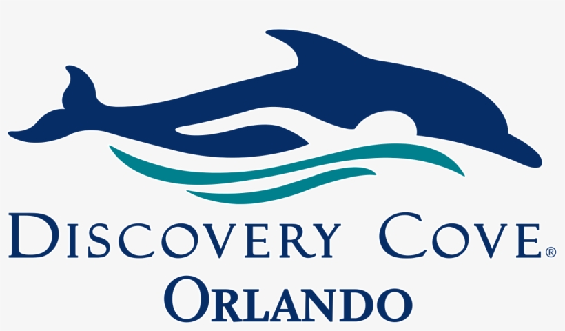 Disney Artwork, Logos, Attraction Descriptions And - Discovery Cove Orlando Logo, transparent png download