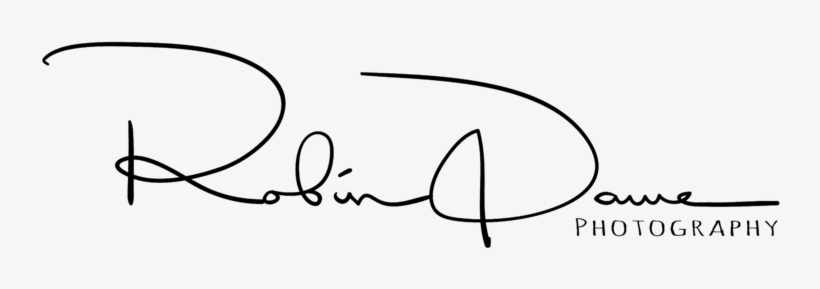 Headshots - Line Art, transparent png download