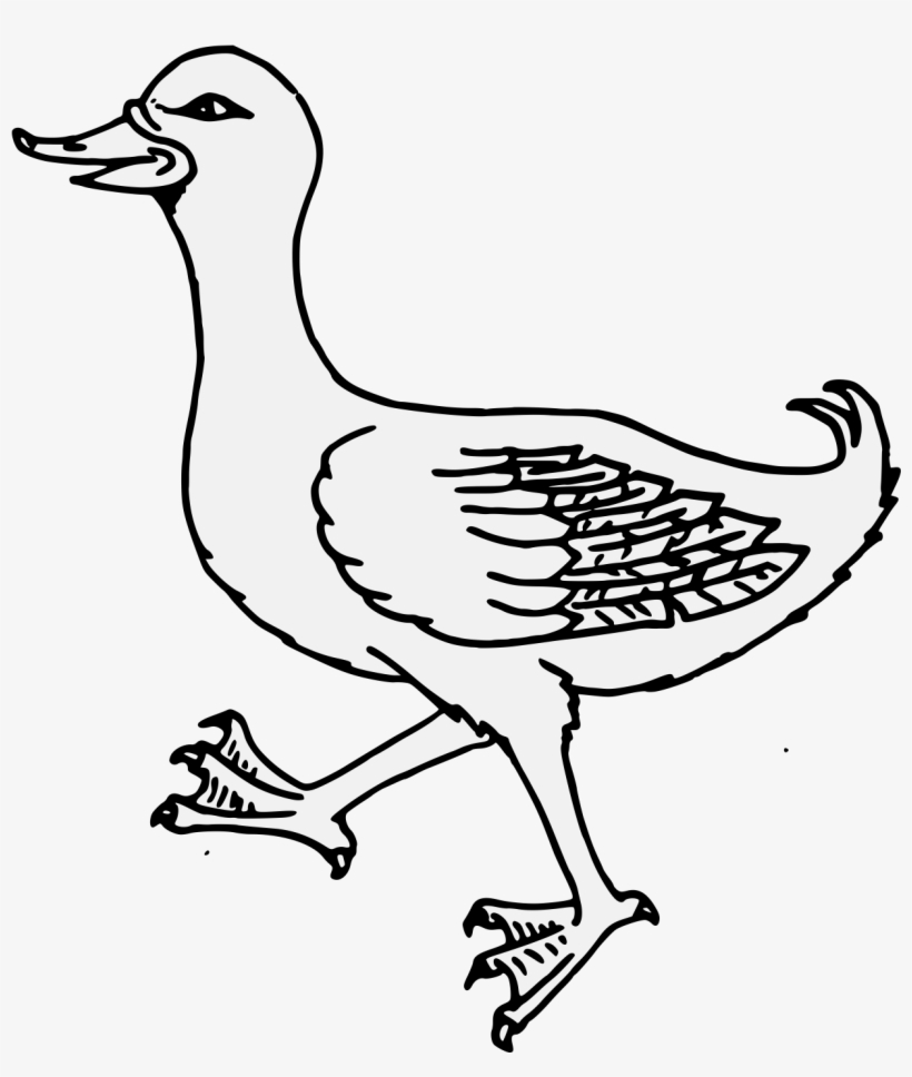 Details, Png - Portable Network Graphics, transparent png download