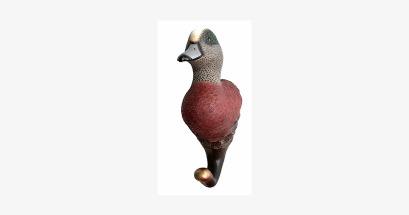 American Widgeon Natures Window - Nature's Window American Widgeon Decorative Coat Hook, transparent png download