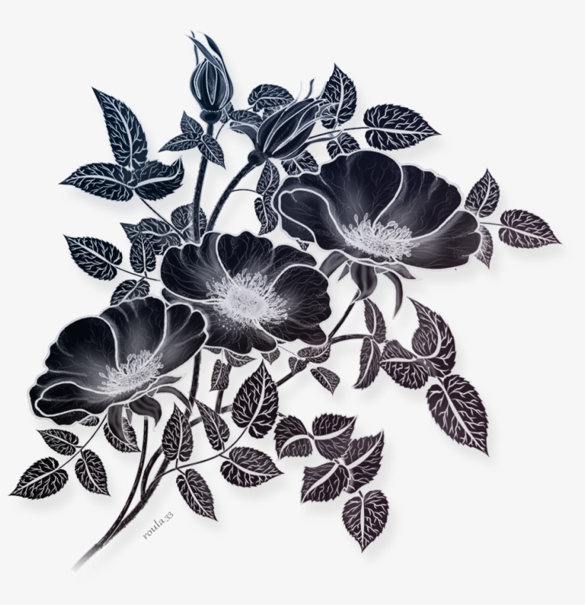 Flowers Drawing Illustration, Png File - Drawing, transparent png download