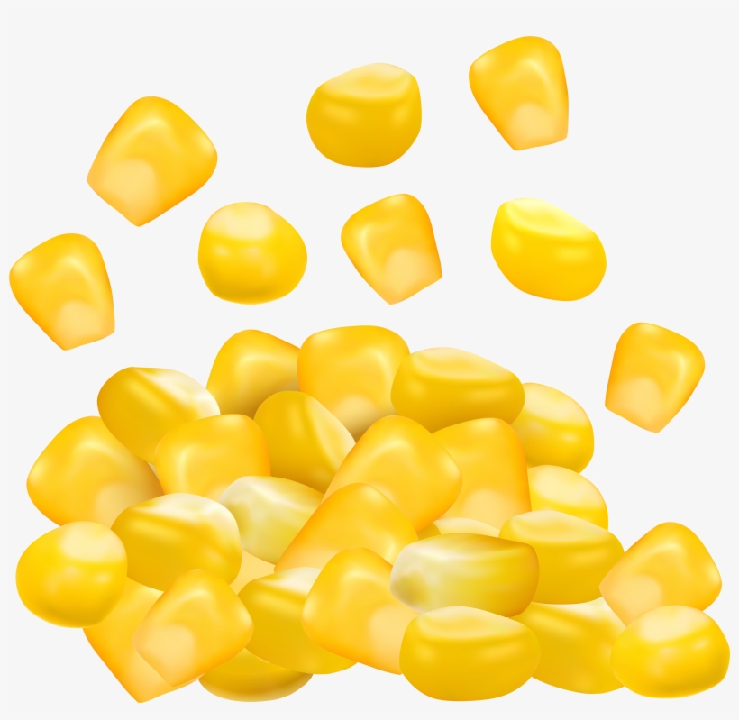 Still Life Photography, transparent png download