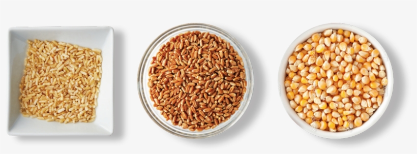 Ofb Gog List Grains - Farmer, transparent png download