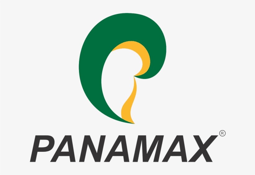 Wholesale Carriers Competing In The Fast-changing Interexchange - Panamax Infotech Ltd, transparent png download