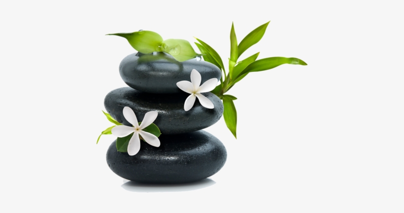 Pierre Zen Png - Holocuren Hcsrm Miracle Lips Serum Vial, 0.33 Oz, Silver, transparent png download