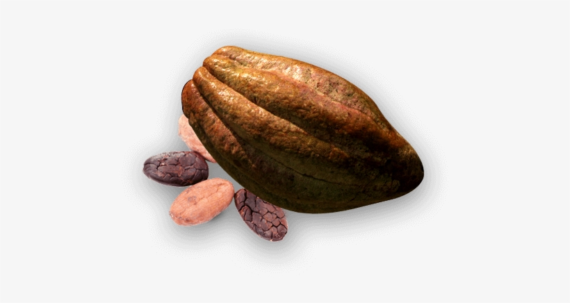 Fruto Del Cacao Png, transparent png download