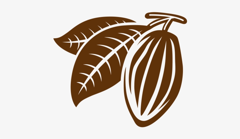 Productos De Cacao - Illustration, transparent png download