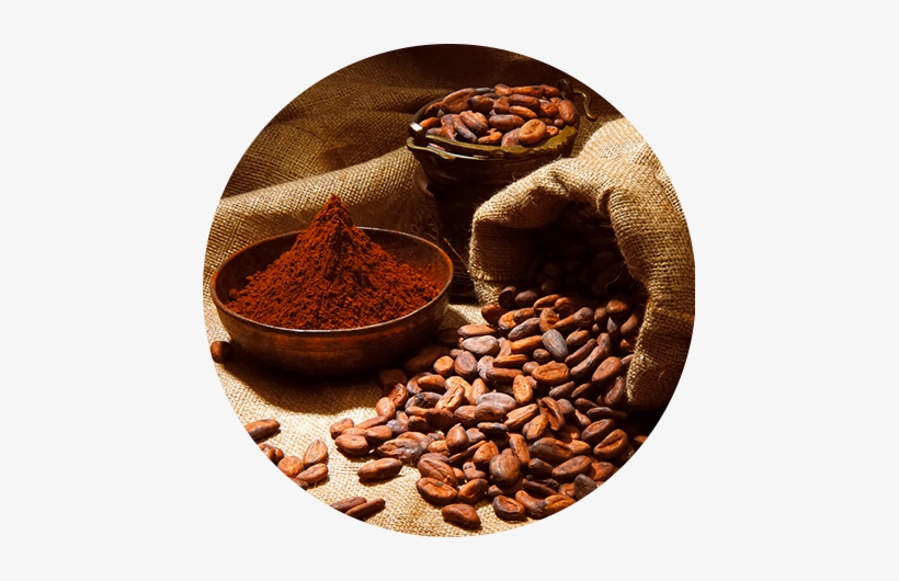 Fève De Cacao Png, transparent png download