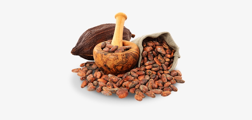 Thailand Wholesale Cacao Powder, Thailand Wholesale - Cacao Png, transparent png download