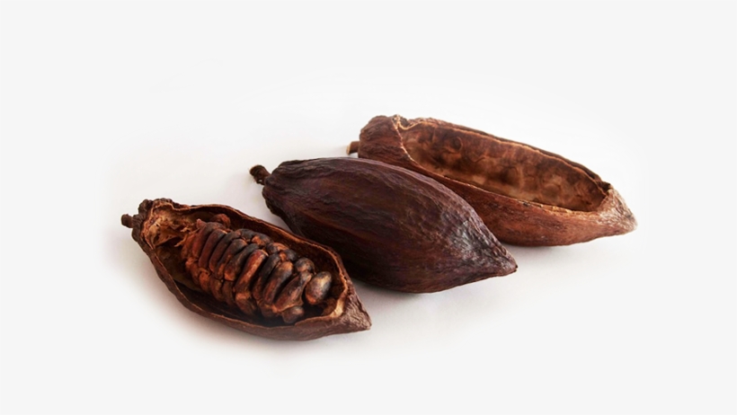 Own A Piece Of The World Beyond - Cacao Bean Roaster Machine, transparent png download