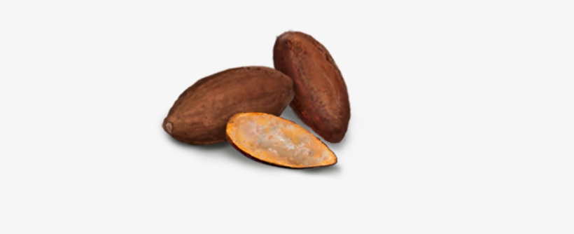 Almond, transparent png download