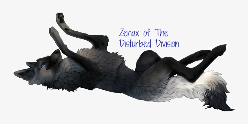 Zenax Tdd Sig - Black Fox With Blue Eyes, transparent png download