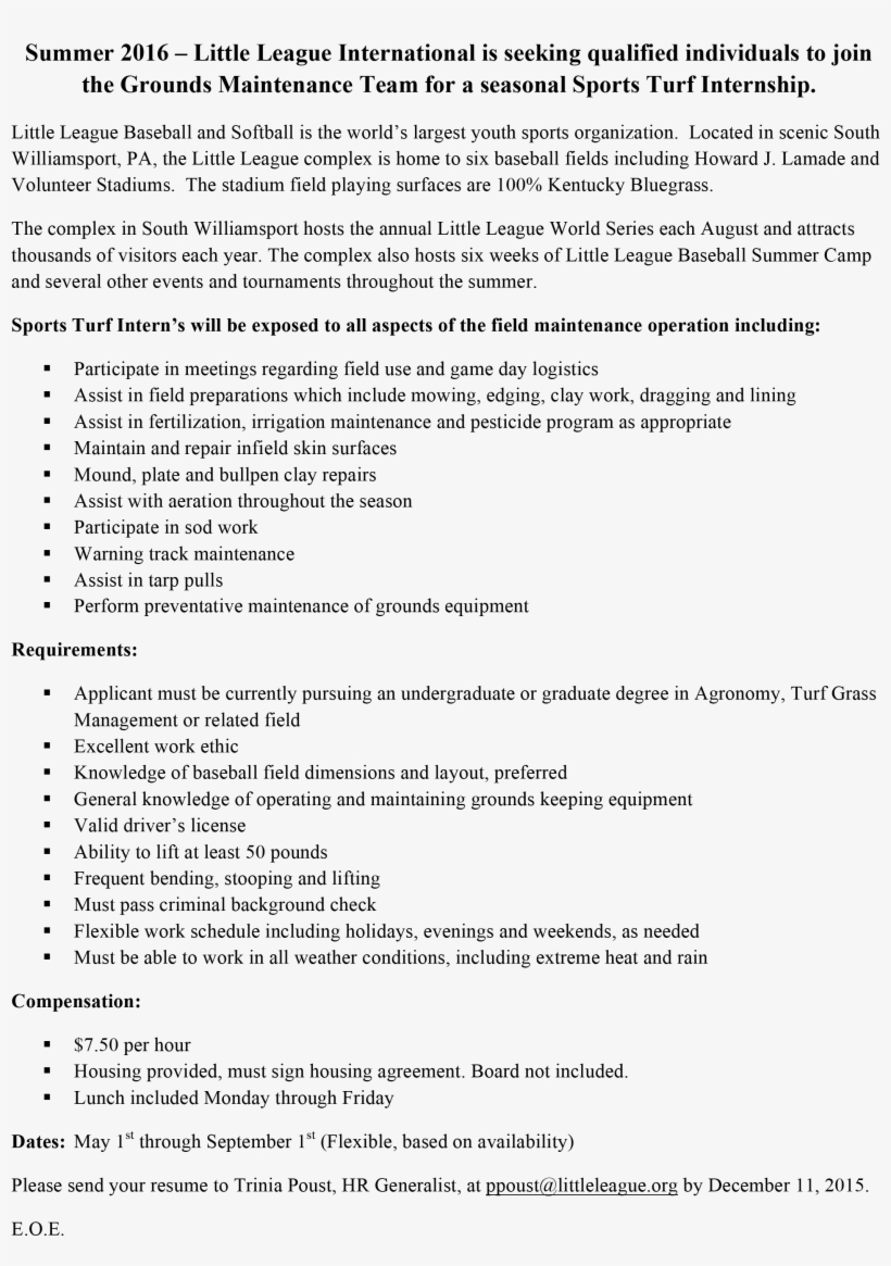 2016 Summer Sports Turf Internship Posting-1 - Sentence, transparent png download