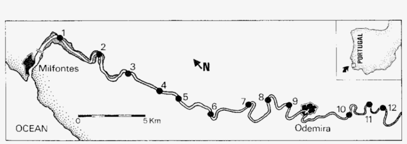 Location Of The Collecting Stations In The Mira River - Mira River, transparent png download