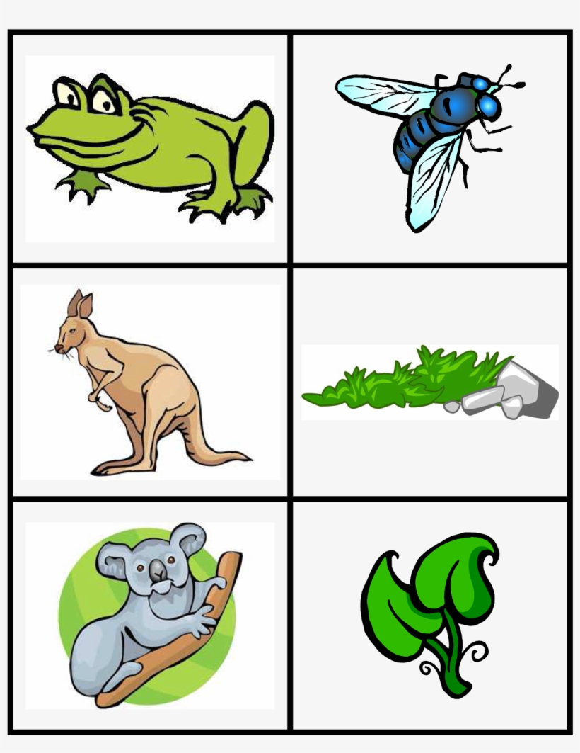 To Accompany This Book, I Often Do An Activity That - Wide Mouth Frog Activities, transparent png download