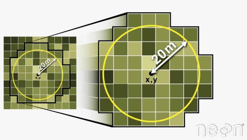 All Pixels That Are Touched By The Buffer Region Are - Squash Tennis, transparent png download